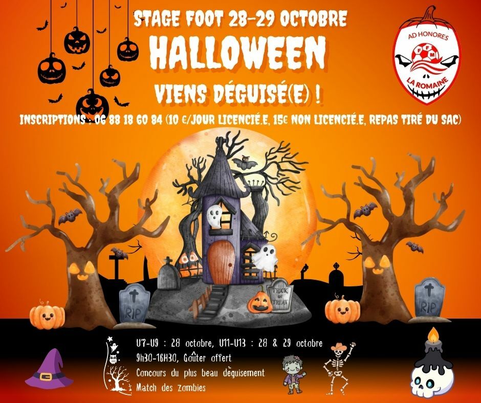 Stage automne 2026
