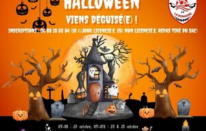 Stage automne 2026