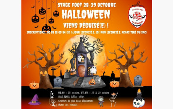 Stage automne 2026