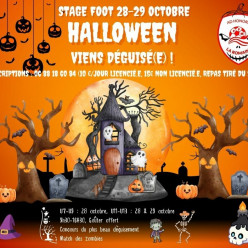 Stage automne 2026